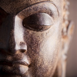 folio-slider19-270×270